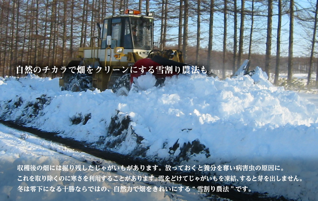 自然のチカラで畑をクリーンにする雪割り農法も。