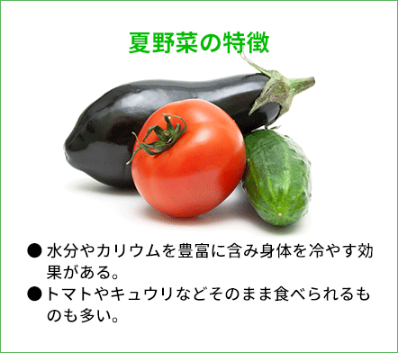夏野菜の特徴