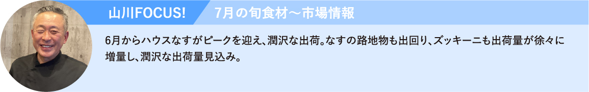 山川FOCUS! 6月からハウスなすがピークを迎え、潤沢な出荷。なすの路地物も出回り、ズッキーニも出荷量が徐々に増量し、潤沢な出荷量見込み。