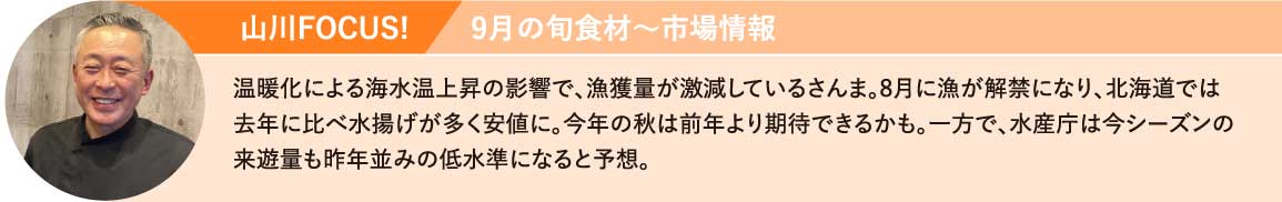 山川FOCUS! 温暖化による海水温上昇の影響で、漁獲量が激減し、さんまは今年も高値の見通し。数も少なく、小さいものが中心になる見込み。