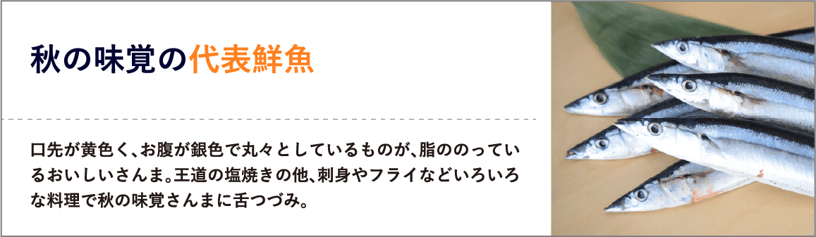 秋の味覚の代表鮮魚