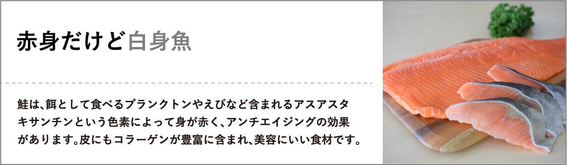 赤身だけど白身魚