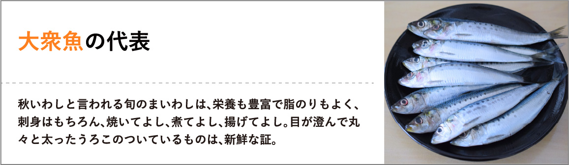 秋いわしと言われる旬のまいわしは、栄養も豊富で脂のりもよく、刺身はもちろん、焼いてよし、煮てよし、揚げてよし。目が澄んで丸々と太ったうろこのついているものは、新鮮な証。"