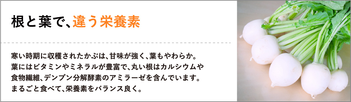 寒い時期に収穫されたかぶは、甘味が強く、葉もやわらか。葉にはビタミンやミネラルが豊富で、丸い根はカルシウムや食物繊維、デンプン分解酵素のアミラーゼを含んでいます。まるごと食べて、栄養素をバランス良く。"