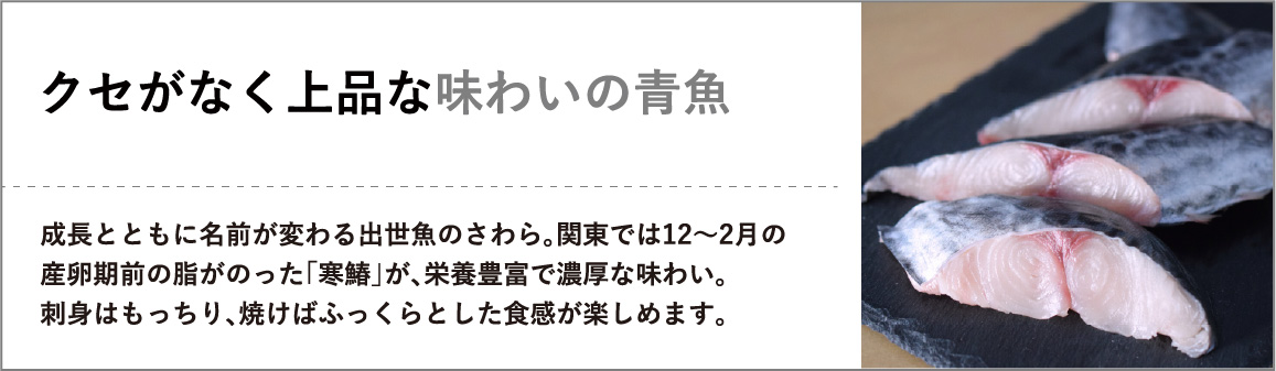 クセがなく上品な味わいの青魚"