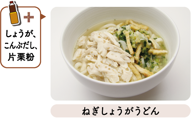 ねぎしょうがうどん