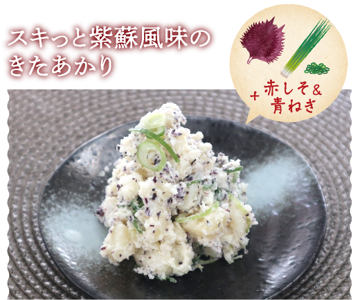 スキっと紫蘇風味のきたあかり