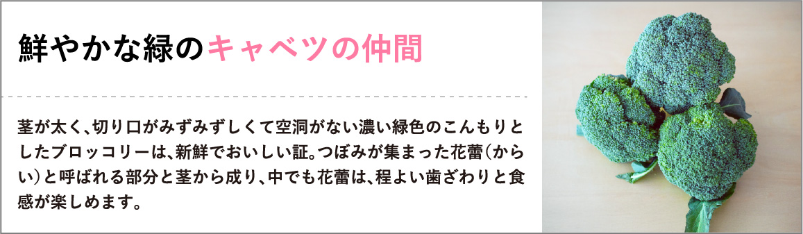 鮮やかな緑のキャベツの仲間
