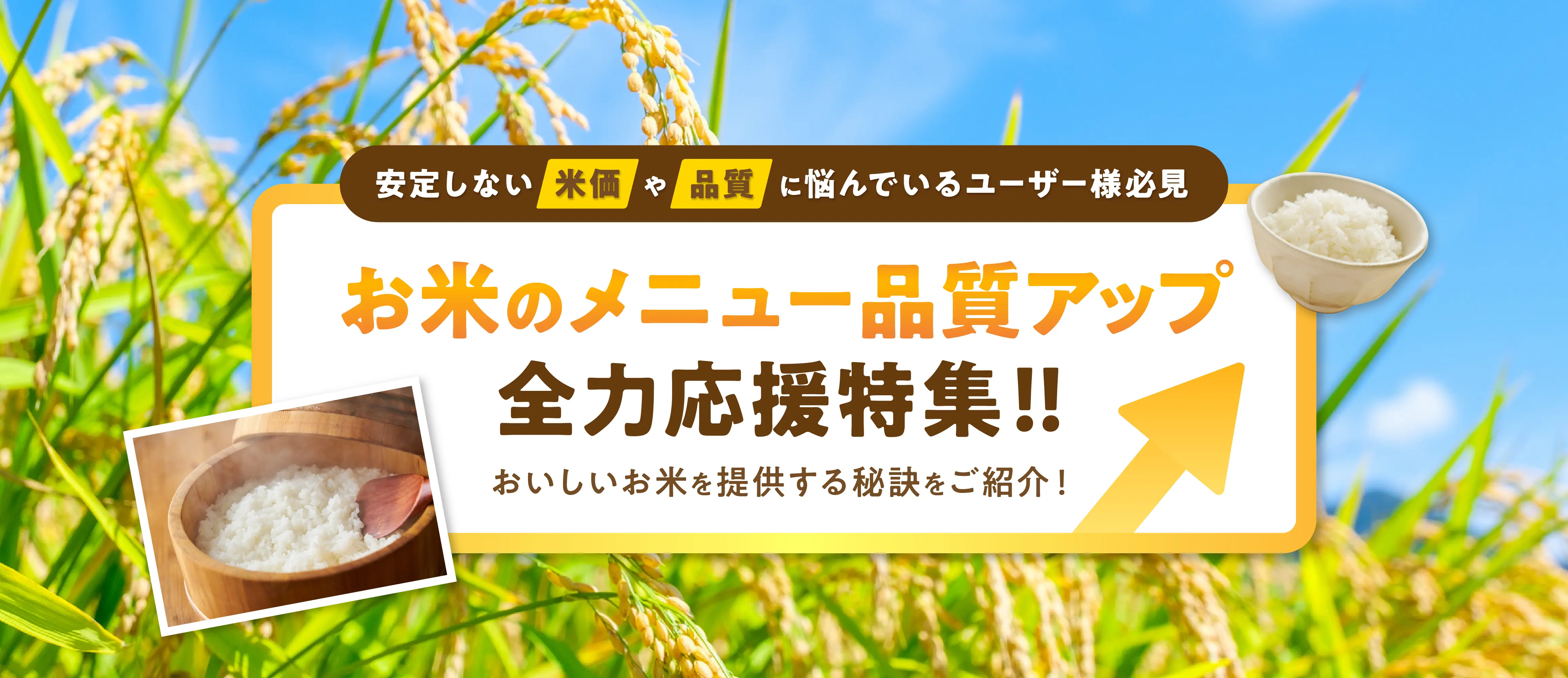 お米のメニュー品質アップ 全力応援特集！！