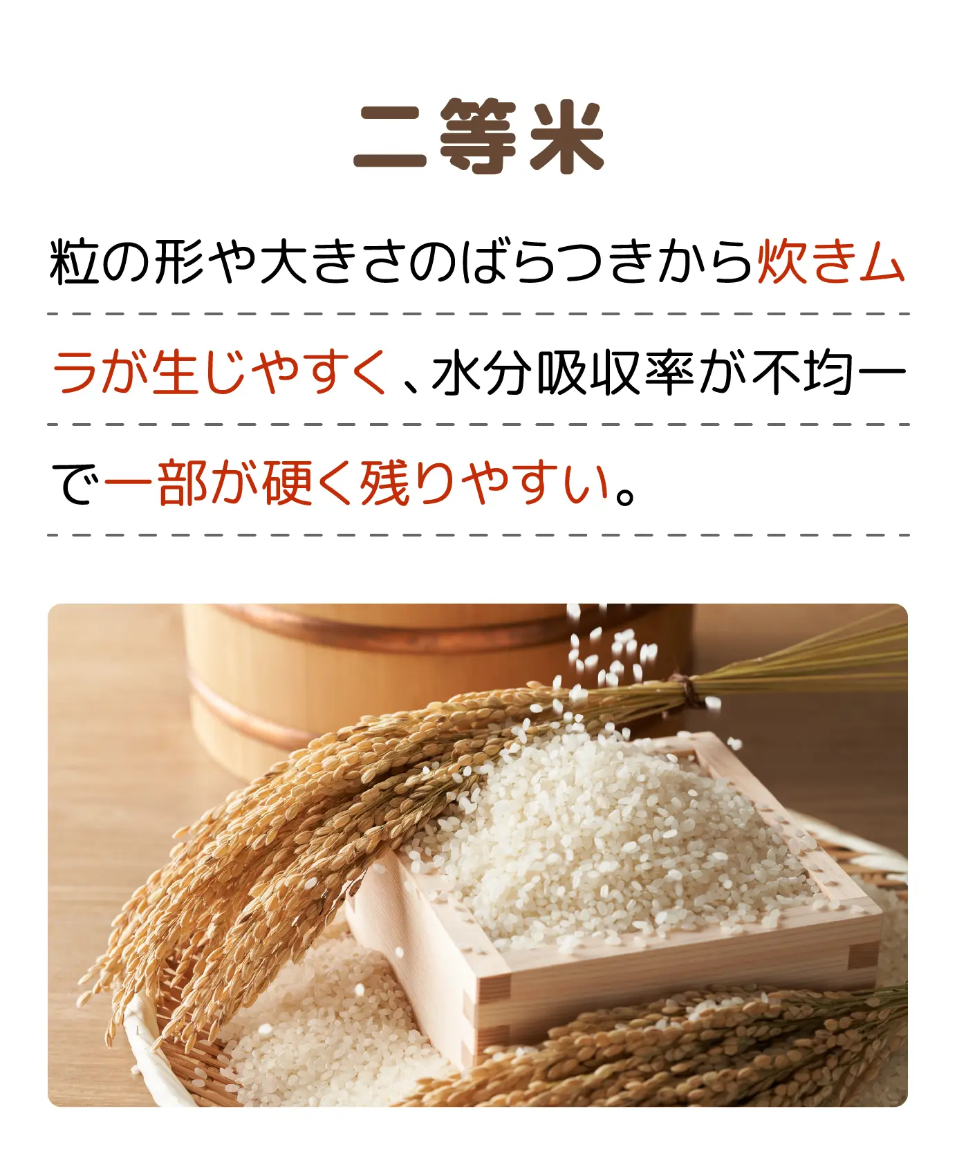 二等米 粒の形や大きさのばらつきから炊きムラが生じやすく、水分吸収率が不均一で一部が硬く残りやすい。