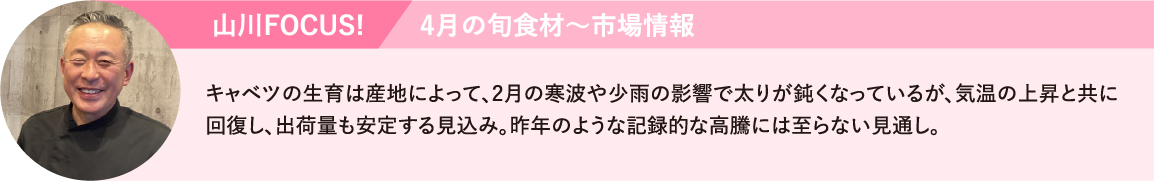 キャベツの生育は産地によって、2月の寒波や少雨の影響で太りが鈍くなっているが、気温の上昇と共に回復し、出荷量も安定する見込み。昨年のような記録的な高騰には至らない見通し。