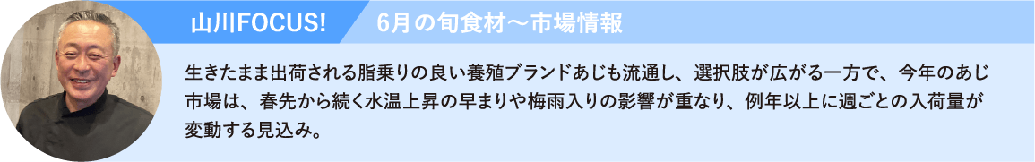 6月の旬食材～市場情報　生きたまま出荷される脂乗りの良い養殖ブランドアジも流通し、選択肢が広がる一方で、今年のアジ市場は、春先から続く水温上昇の早まりや梅雨入りの影響が重なり、例年以上に週ごとの入荷量が変動する見込み。