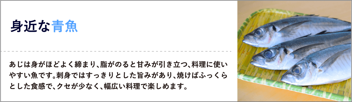 身近な青魚