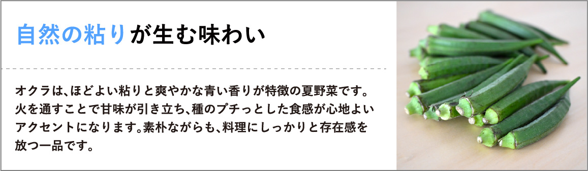 身近な青魚