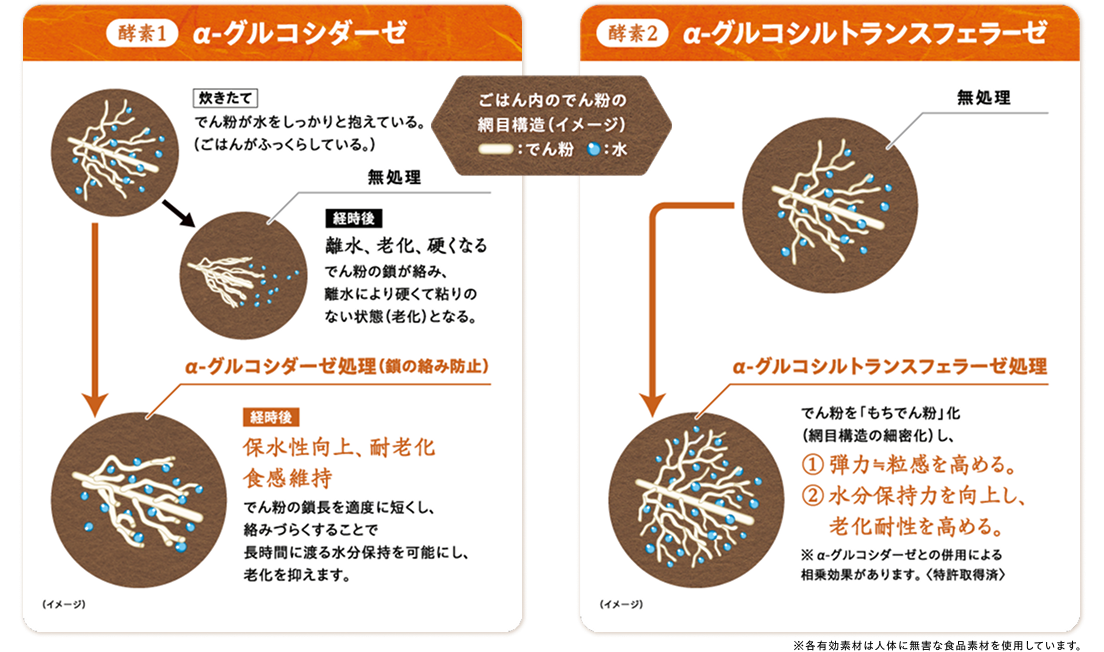 酵素1:酵素2